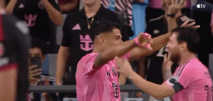 立即博相关图片