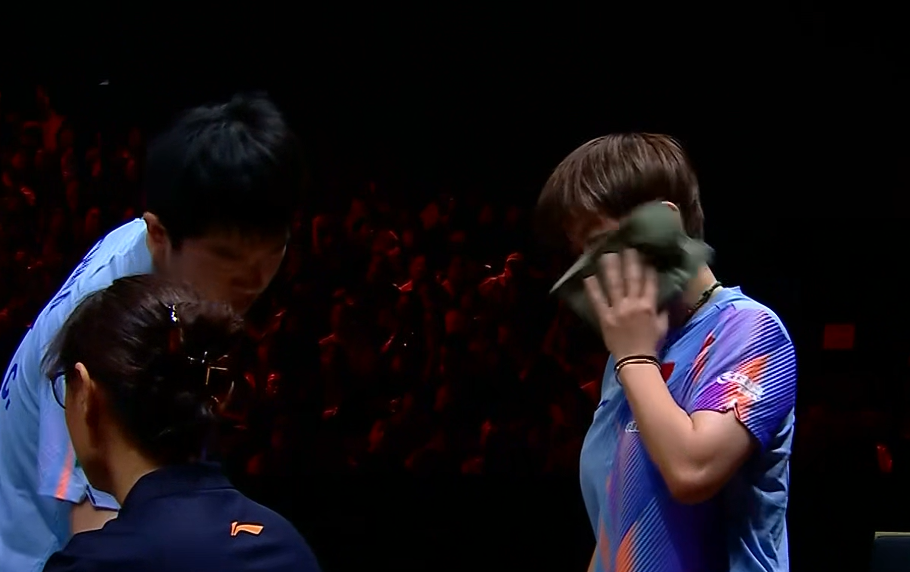 专业立即博服务